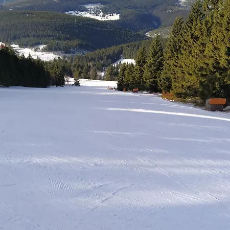 44 Slaska アパート カミェンナ・グラ