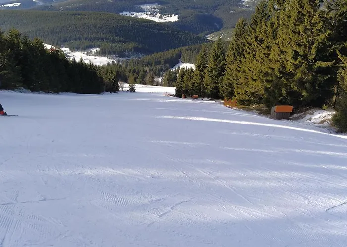 44 Slaska Apartment Kamienna Gora